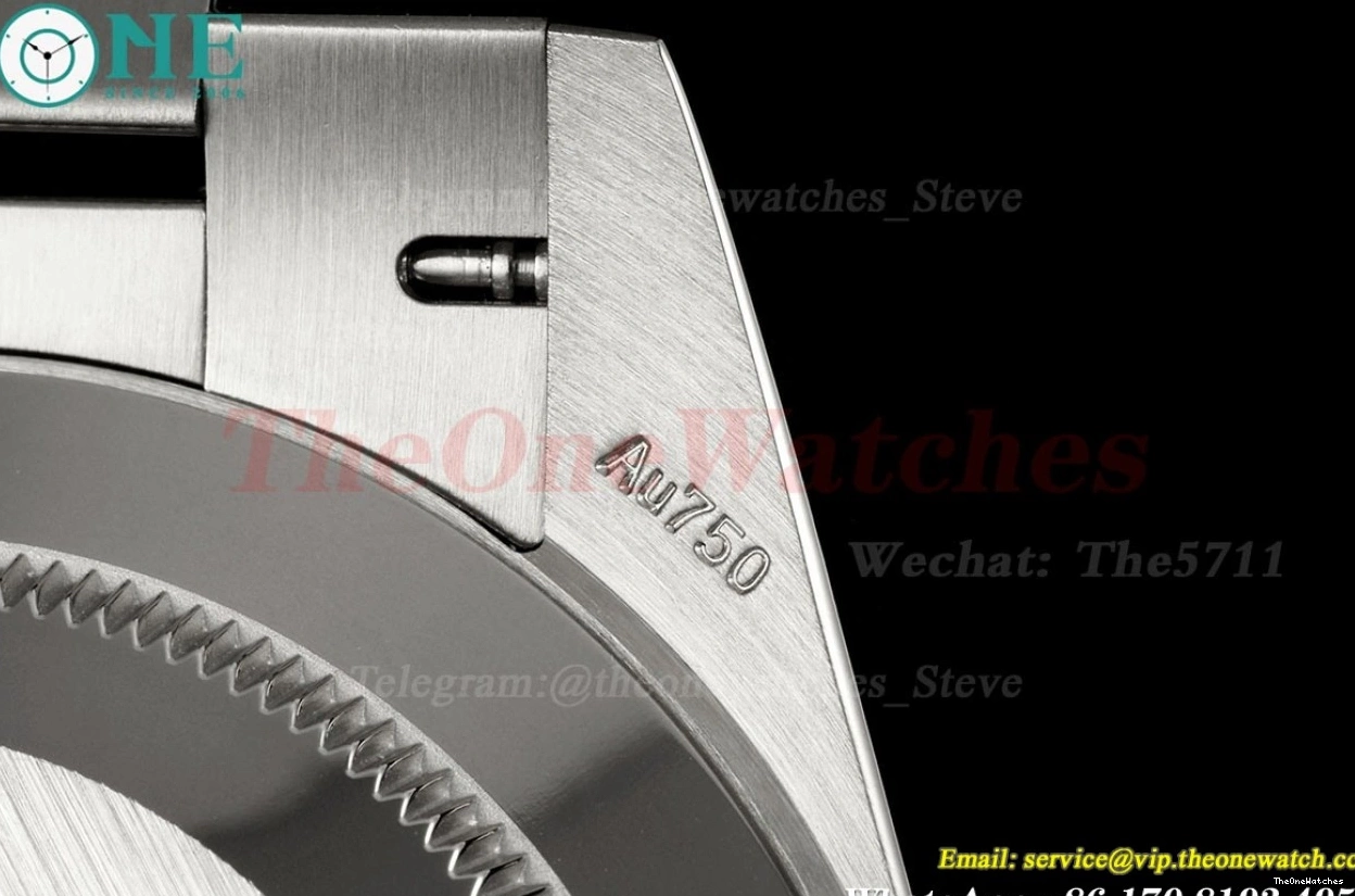 40mm SS Weight) Blue NOOB DayDate Rmn SS A2836(Gain 228239 0422